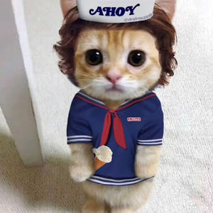 Meet your Posher, Naomi